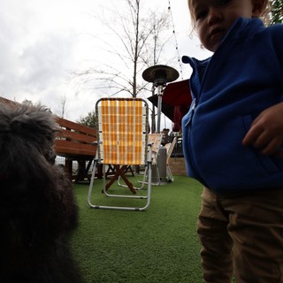 Young Boy and Dog on Artificial Grass Patio