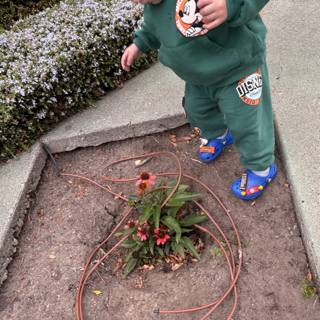 Little Gardener in Action