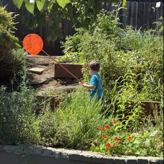 Summer Garden Adventure