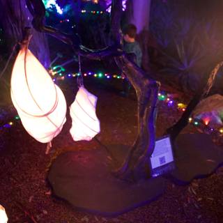 Enchanted Illumination