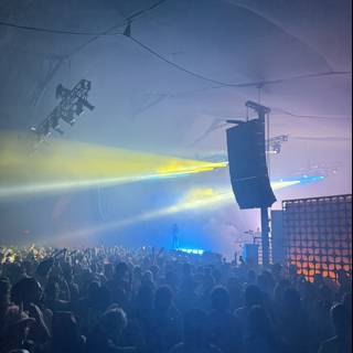 Electric Vibes in Indio
