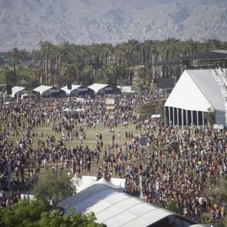 Coachella 2014: The Massive Concert Crowd