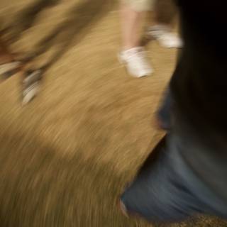 Blurred Steps at Coachella