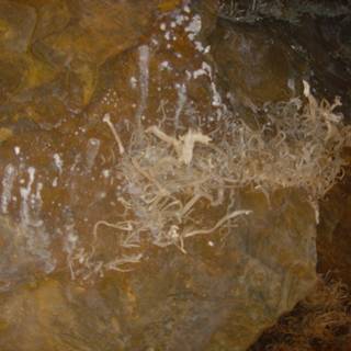Stained Rock in Cave