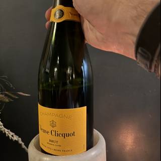 Celebratory Cheers in Walnut Creek