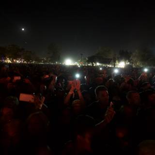 Illuminated Crowd