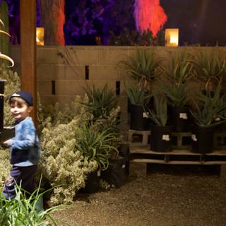 Enchanted Evening Stroll in the Garden