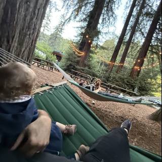 Hammock Adventures in the Redwood Grove