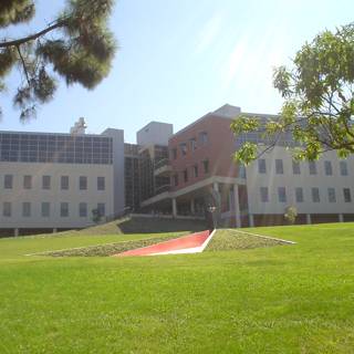 Serene Campus Landscape