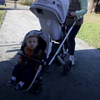 Strolling Through Thistlewyck