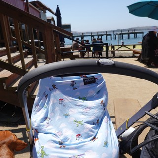 Seaside Baby Stroller at Waterfront Boardwalk