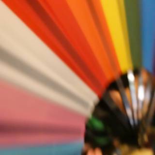 Colors in Motion