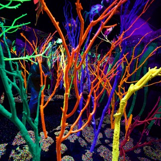 Neon Forest: Fluorescent Art Installation Under UV Light