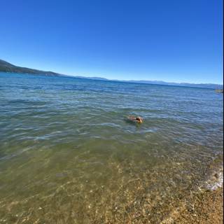 Playtime in the Tahoe Waters