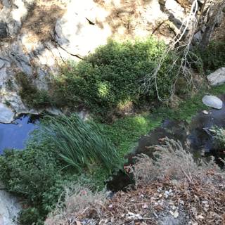 Rocky Stream in Angeles National Forest