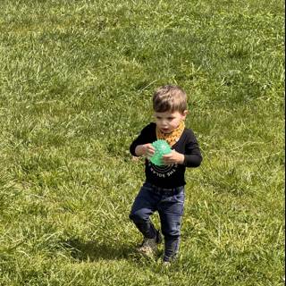 Springtime Play in Piper Park