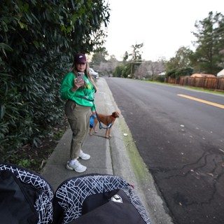 Early Morning Dog Walk on Suburban Street