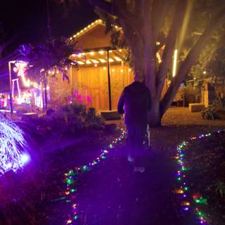 Enchanted Pathway to Light