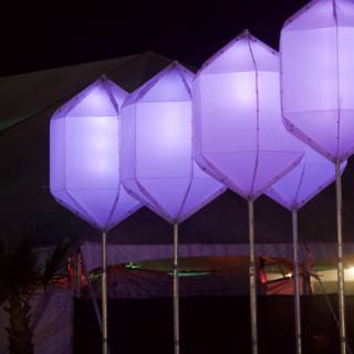 Purple Kites Light Up the Night Sky