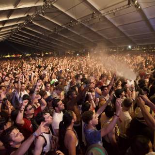 Coachella 2012: Hands Up in the Crowd