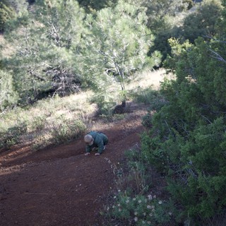 Toddler Explores Red Dirt Trail on Mount Diablo
