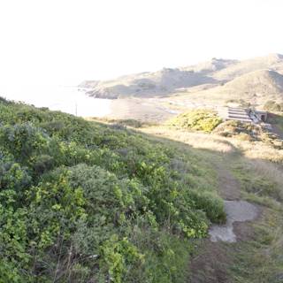 Coastal Hilltop Trail