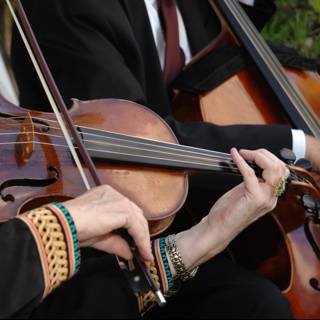 Serenade of Strings