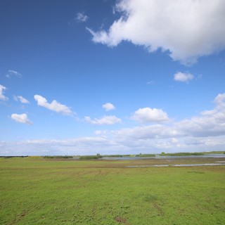 Wetland Landscape Under Expansive Spring Sky