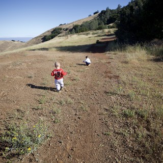 Young Children Exploring the Hillside Trail Together