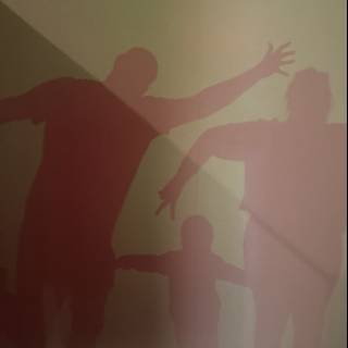 Shadows of Joy