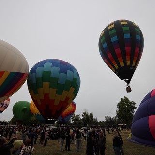 Colorful Hot Air Balloons Launch at Sonoma Classic