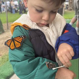 Curious Encounters at Plaza Park