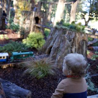 Whimsical Train Adventure