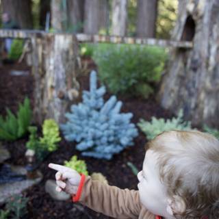 Curious Discoveries in Thistlewyck's Garden