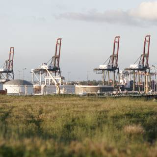 Expansive Grasslands Meet Industrial Waterfront