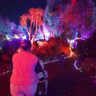 Enchanted Night Stroll
