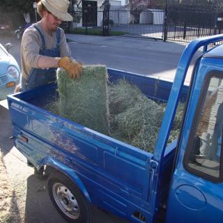 Loading a Pickup Truck with Hay