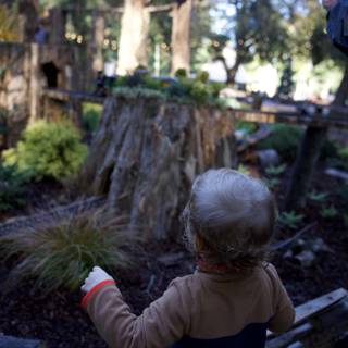 Exploring Thistlewyck: A Child's Wonder