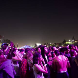 Night Sky Crowd at 2015 Music Festival