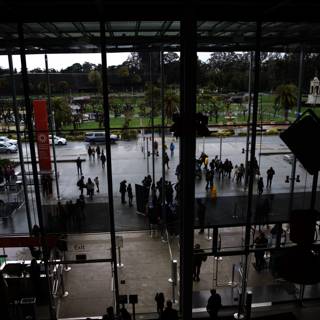 A Bustling Day at the California Academy of Sciences