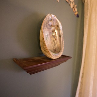 Abalone Shell Display on Wooden Shelf