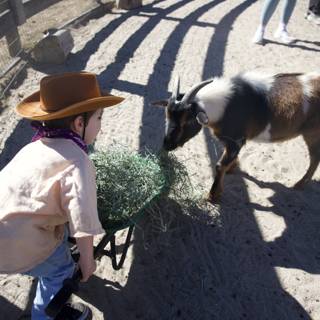 Ranch Adventures: Feeding Time