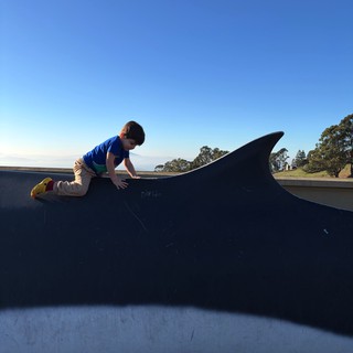 Young Boy Climbing Skateboard Park Ramp at Sunset