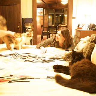 Cozy Evening with Cats on a Patterned Bed