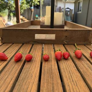 Sunlit Strawberries