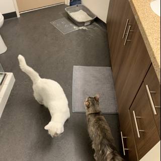 Cat Party in the Bathroom