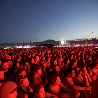 Coachella Crowd Under a Blue Sky
