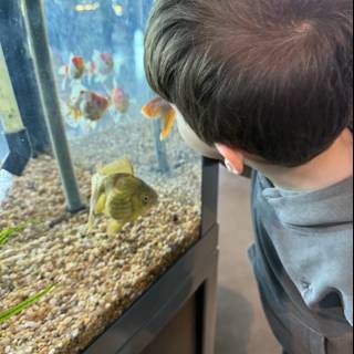 Mesmerized by the Underwater World