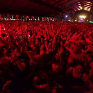 Epic Crowd Participation at Coachella 2012