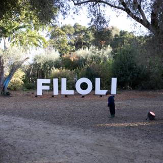 Exploring Filoli's Enchanted Grounds